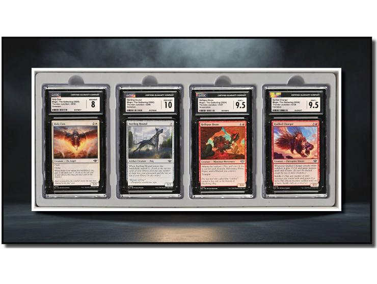 This curated set of four cards is a magnificent visual feast, paying homage to the whimsical and rugged aesthetics of the 202